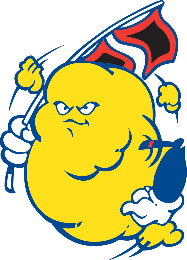 Tulsa Golden Hurricane 1980-1987 Mascot Logo t shirts iron on transfers